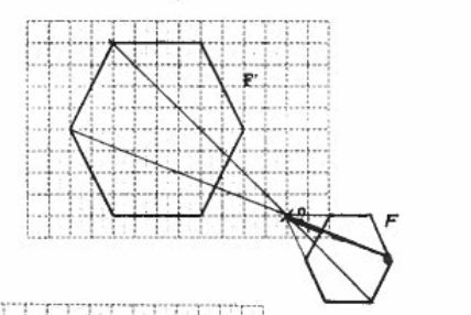 image-20250306145456847